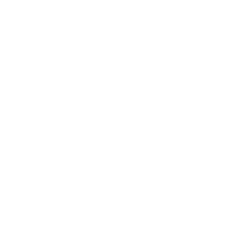 Case: Bluey